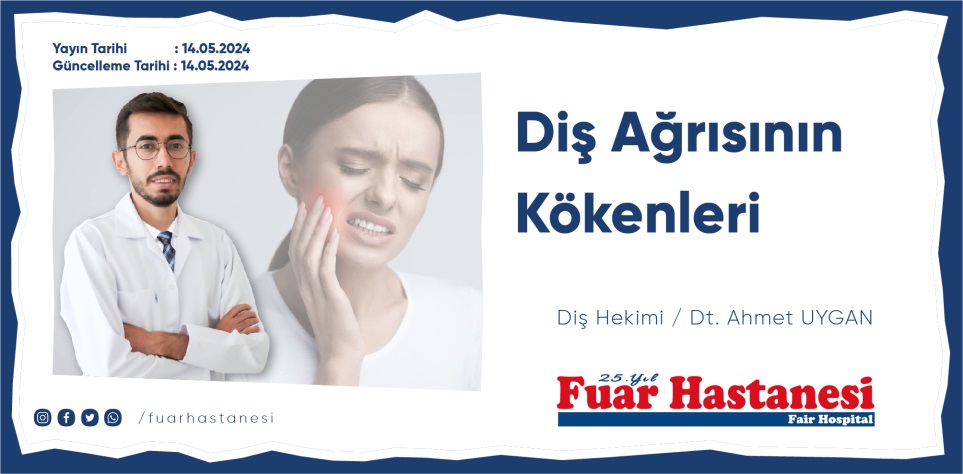 Diş Ağrısının Kökenleri